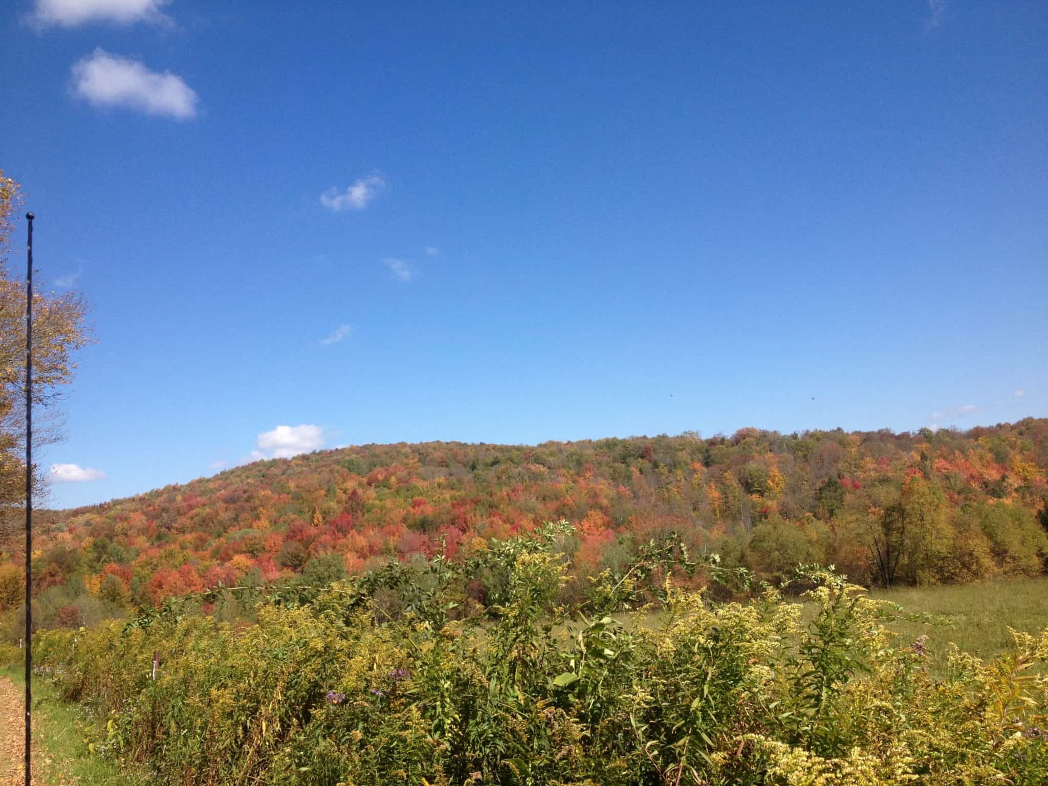 Contours of Land for Whitetail Deer Hunting